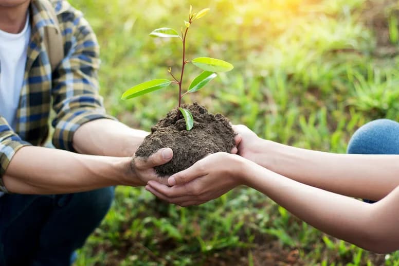 Hande wat lewende grond en ’n jong groen plant vashou