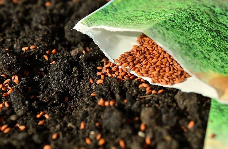 Regeneration: From Soil Degradation to Living, Profitable Farms