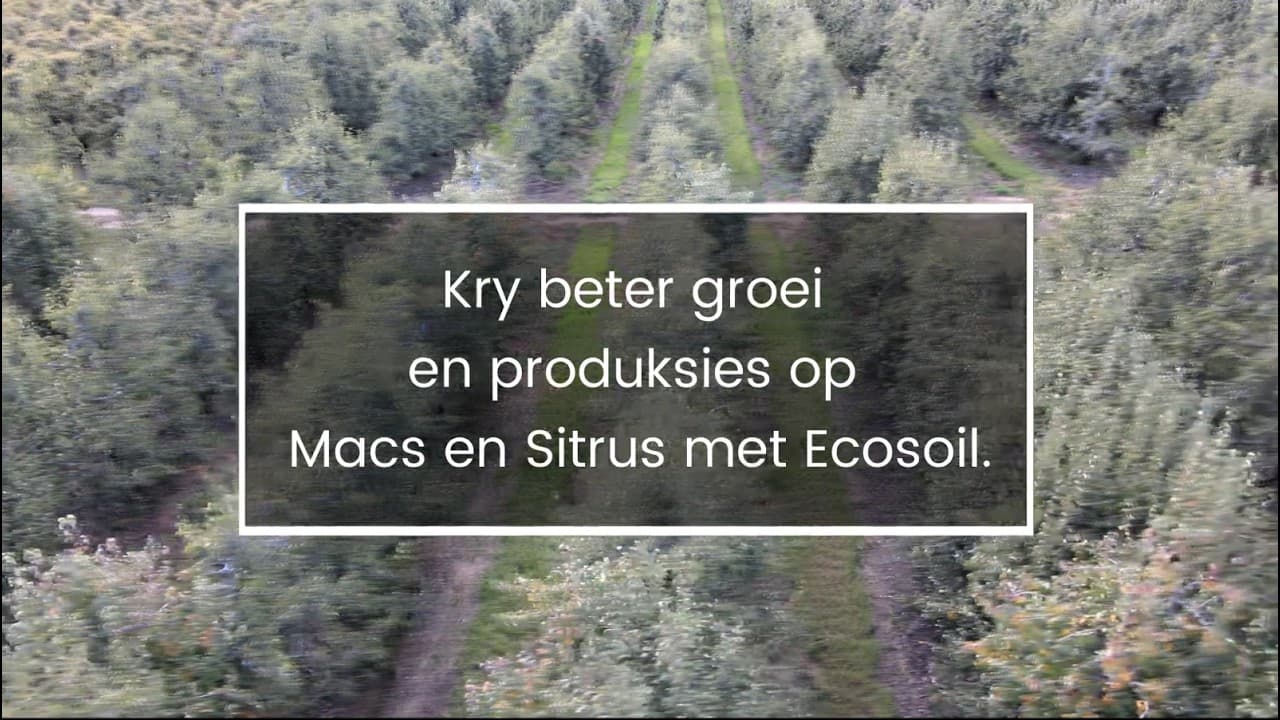 Macadamia and citrus field video with Ecosoil
